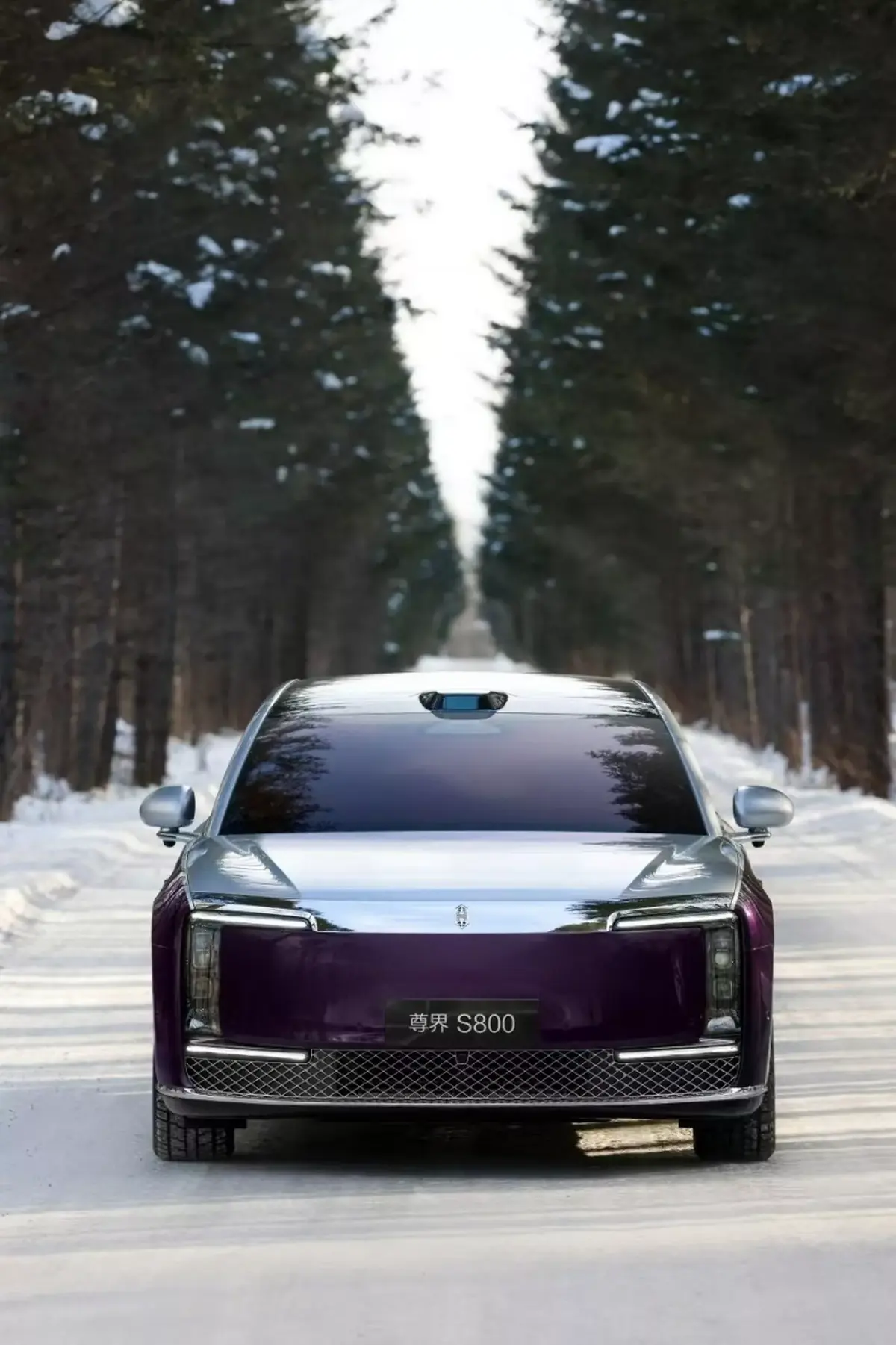 Mașina care seamănă izbitor cu Rolls-Royce și Mercedes » E mult mai ieftină decât cei doi giganți auto