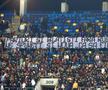 Mesajele afișate de Rapid cu Dinamo