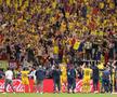 Bucuria României, după egalul cu Slovacia, foto: Imago Images