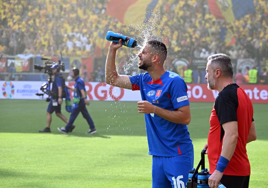 10 detalii observate de pe stadion la Slovacia - România » Nervii lui Iordănescu, Hagi lângă Figo și campionii din tribune