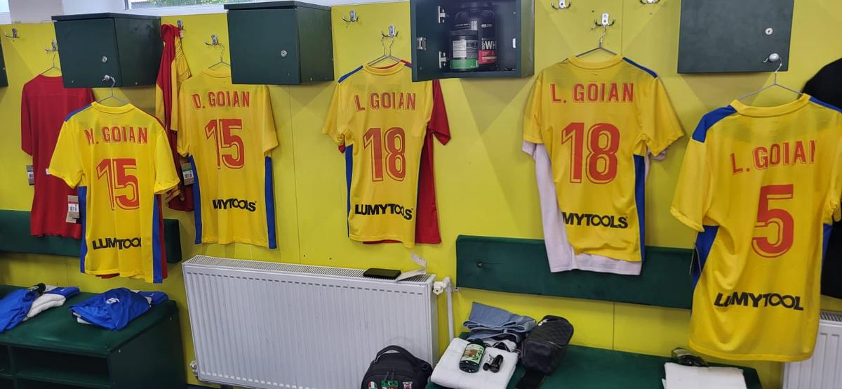 Meciul de retragere al lui Dorin Goian