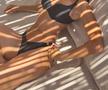 Elisabetta Canalis (3)