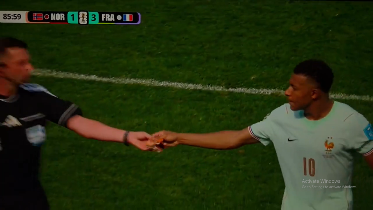 Kylian Mbappe, gest viral în Norvegia - Franța