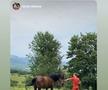 DINAMO. Izolare în deplasare?! Vali Lazăr are COVID-19, dar e cu familia la munte, deși DSP i-a impus să rămână acasă! + Reacția fermă a LPF