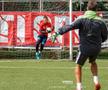 EXCLUSIV Arbitrul acuzat că a făcut praf un meci, trimis de FRF la jocul decisiv din Liga 2! Cine conduce FC Argeș - UTA Arad