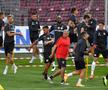 Dan Petrescu încearcă să mai producă o minune. foto: Raed Krishan