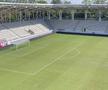 FOTO Gazonul de pe „Arcul de Triumf” înainte de Dinamo - Petrolul