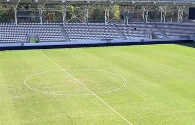 Gazonul de pe „Arcul de Triumf”, un DEZASTRU » Cum arată suprafața de joc înainte de duelul sold out Dinamo - Petrolul