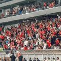 400 de abonamente vândute de Dinamo, în perspectiva derby-ului cu FCSB / FOTO: Facebook @Dinamo Bucuresti
