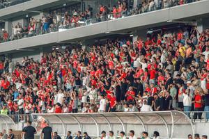 Câte abonamente a vândut Dinamo după startul campaniei pentru derby-ul FCSB