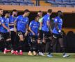 FOTO: fcviitorul.ro