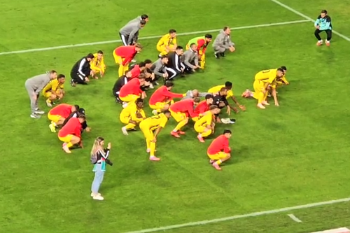 GSP.ro a surprins ce s-a întâmplat pe gazon imediat după Universitatea Craiova - Dinamo, 2-2, din runda cu numărul 11 din Superliga.