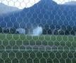 Stadionul „Caraimanul” din Bușteni / Sursă foto: Facebook@ Seby Zik