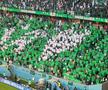 Atmosfera de la Polonia - Arabia Saudită / Sursă foto: Andrei Crăițoiu (Gazeta Sporturilor)