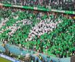 Atmosfera de la Polonia - Arabia Saudită / Sursă foto: Andrei Crăițoiu (Gazeta Sporturilor)