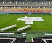 De ce nu se trage acoperișul la Arena Națională + Care e starea gazonului înainte de Dinamo - FCSB