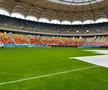 De ce nu se trage acoperișul la Arena Națională + Care e starea gazonului înainte de Dinamo - FCSB