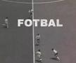 Călin Georgescu a folosit fără acord, în scop electoral, imagini cu Ivan Patzaichin și Gică Hagi: „N-am fi acceptat niciodată!”