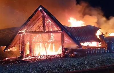 Tragedie de Crăciun » Printre victimele incendiului de la Ferma Dacilor se află și doi frați fotbaliști: unul era junior la CSA Steaua, altul în Academia lui Ghionea și Petre Marin