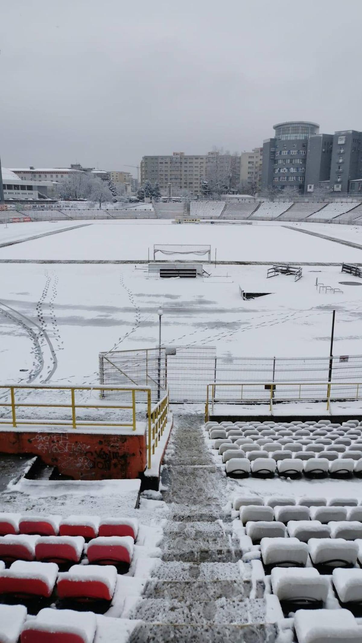UPDATE / VIDEO. Suporterii și reprezentanții clubului Dinamo au curățat terenul de zăpadă » Cum arată gazonul