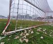 Stadion Dinamo