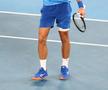 Novak Djokovic, antrenament cu Tommy Paul înainte de finala Australian Open 2023