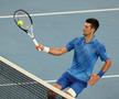 Novak Djokovic, antrenament cu Tommy Paul înainte de finala Australian Open 2023