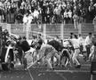Partida dintre Dinamo și Steaua, care a stat la baza unui război în toată regula » Căpitanul a atacat polițiștii, iar ultrașii au mers pe front