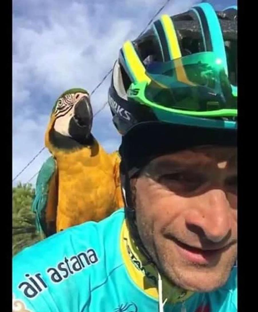 Michele Scarponi și Franky în timpul unui antrenament Foto: Instagram Mascota ciclistului decedat în mod tragic a avut aceeași soartă: „Vor zbura din nou împreună”