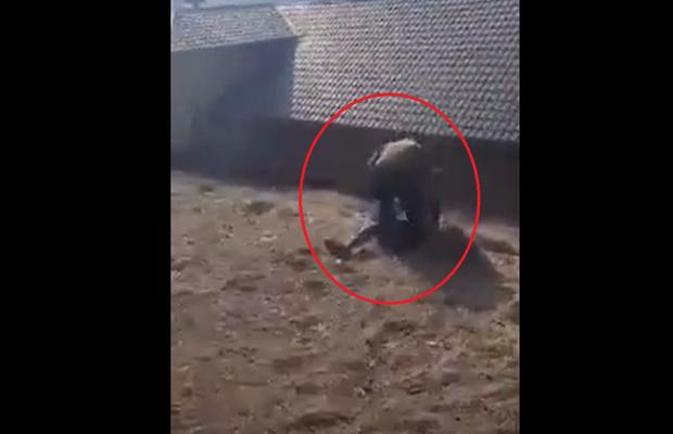 Un fost antrenor, filmat în timp ce bate un copil la stadion » E incredibil cum încearcă să-și motiveze violența: „Striga «m*** Dinamo» după mine!”