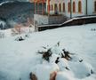 FOTO: Facebook @matca.hotel