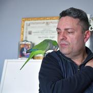 Liviu Anghel, interviu în San Marino, foto: Cristi Preda / Gazeta Sporturilor