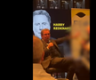 Celebrul antrenor englez e acuzat că a făcut salutul nazist pe scenă, după ce l-a numit pe Thomas Tuchel „spion german”!