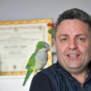 Liviu Anghel, interviu în San Marino, foto: Cristi Preda / Gazeta Sporturilor
