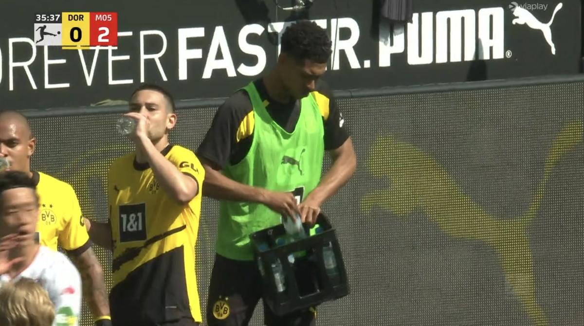 Haz de necaz! Avalanșă de meme cu prăbușirea Borussiei Dortmund în decisivul de titlu!