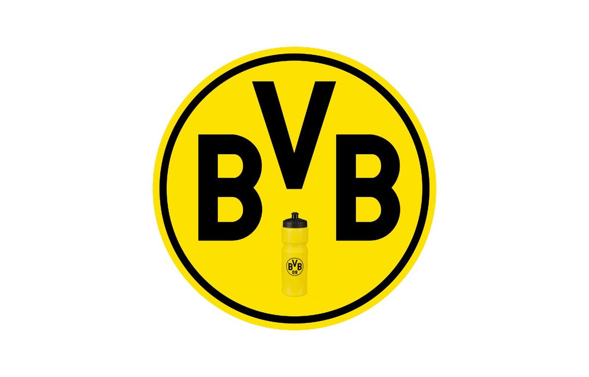 Haz de necaz! Avalanșă de meme cu prăbușirea Borussiei Dortmund în decisivul de titlu!