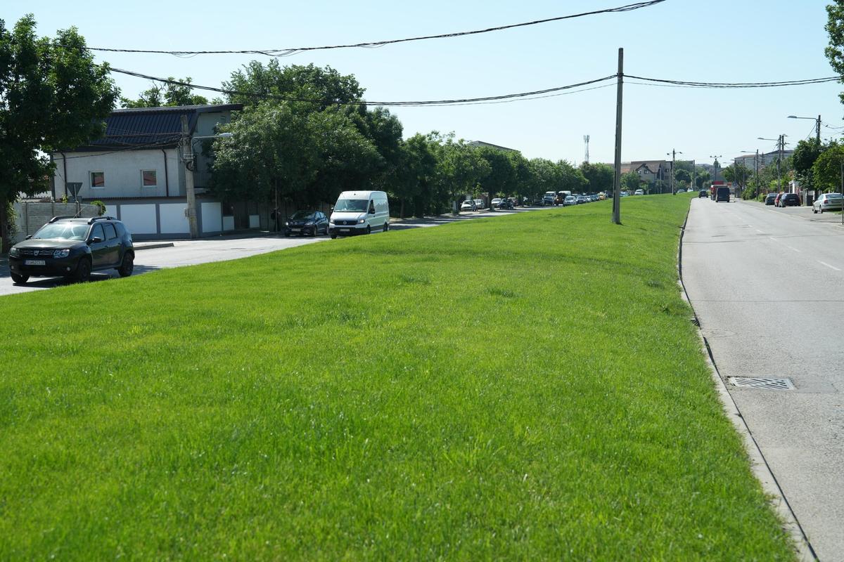 Unde e acum gazonul pe care Craiova a luat titlul: „Moment important”