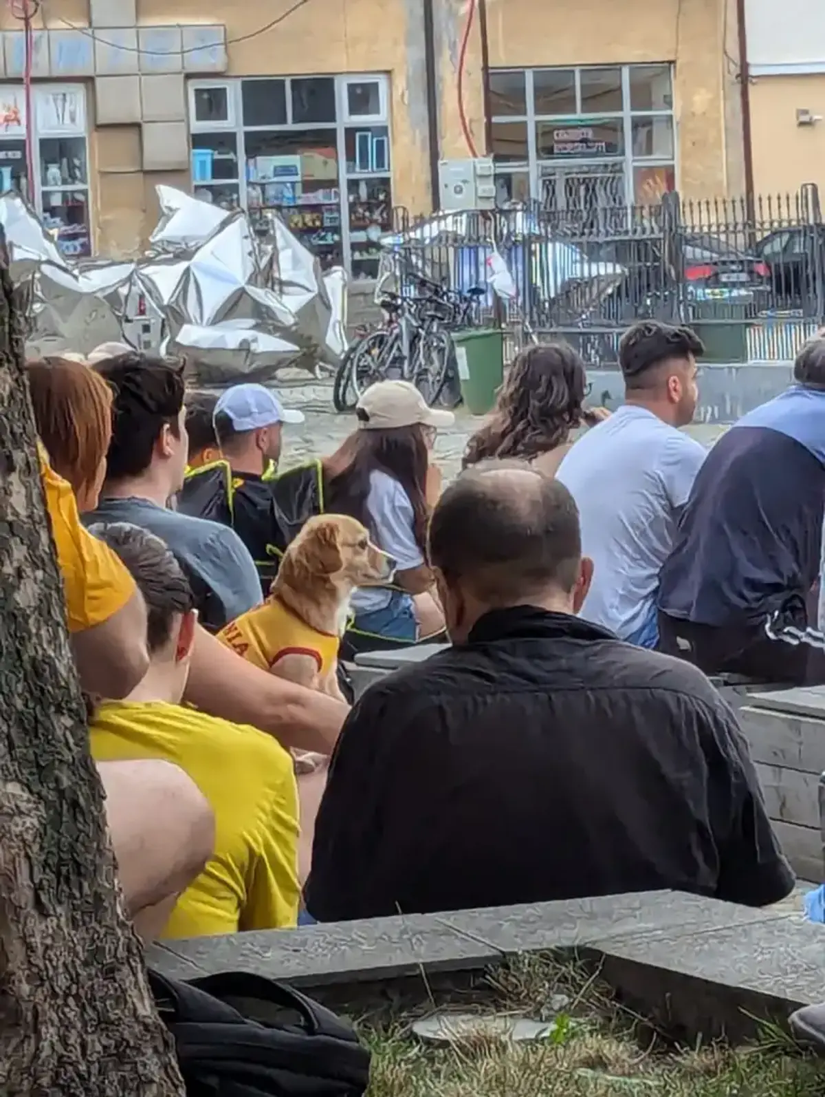 Nu doar în București! Românii au ieșit aseară pe străzi în toată țara