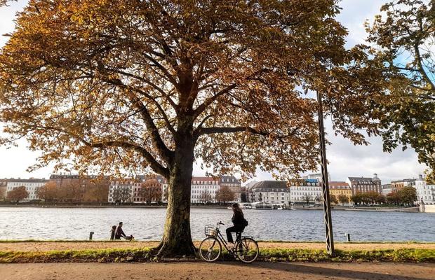 Copenhaga pe bicicletă: cele mai bune trasee și locuri de vizitat pe două roți