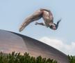 Performanță senzațională reușită de românii Constantin Popovici și Cătălin Preda la Campionatele Mondiale de la Fukuoka / FOTO: Raed Krishan (Japonia)