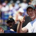 Andy Murray în tribună la Eastbourne Foto: Imago Images