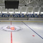 Berceni Arena