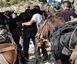 250.000 de vizualizări: Gigi Becali călare pe catâr, la cota 1500 » Ce făcea stăpânul lui FCSB, în timp ce Bîrligea semna cu Frosinone