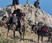 Gigi Becali, călare pe catâr la Muntele Athos