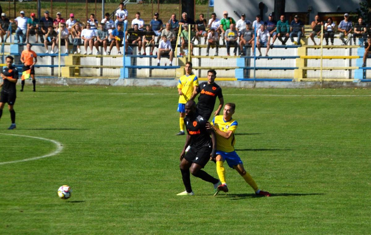 Progresul Pecica - Petrolul
