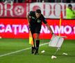 Suporterii lui Dinamo au aruncat cu scaunul după arbitru/ foto Cristi Preda (GSP)