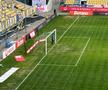 Petrolul - Rapid, imagini înaintea partidei de la Ploiești