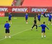 Naționala Bosniei, antrenament oficial pe Arena Națională/ foto: Ionuț Iordache (GSP)