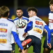 Antrenamentul oficial al naționalei României, înainte de meciul cu Bosnia // foto: Cristi Preda (GSP.ro)