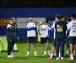 Antrenamentul oficial al naționalei României, înainte de meciul cu Bosnia // foto: Cristi Preda (GSP.ro)